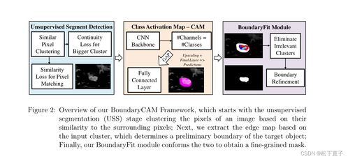 基于边界的医学图像弱监督语义分割细化框架boundarycam